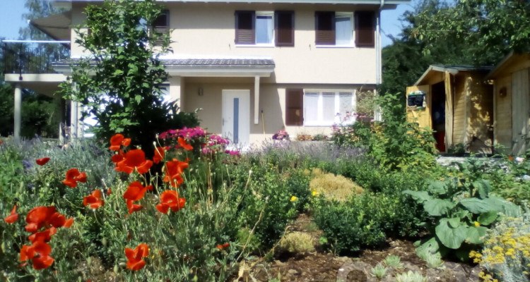 Haus inmitten der Natur auf 2540 m² image 10