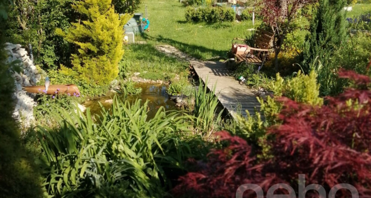 Haus inmitten der Natur auf 2540 m² image 11