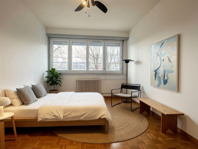 Appartement 4 pièces à fort potentiel à deux pas du tram image 5