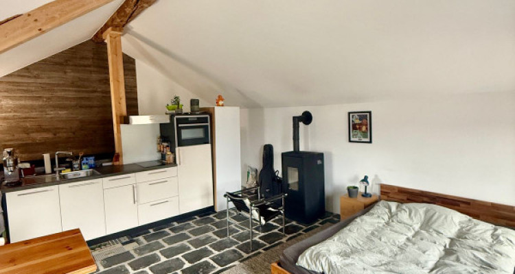 CHARMANT STUDIO DE 52 M2, MASE ! ( MONT-NOBLE ) image 3