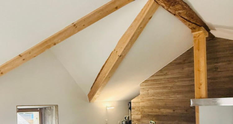 CHARMANT STUDIO DE 52 M2, MASE ! ( MONT-NOBLE ) image 4