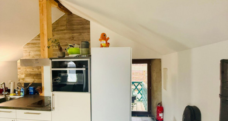 CHARMANT STUDIO DE 52 M2, MASE ! ( MONT-NOBLE ) image 5