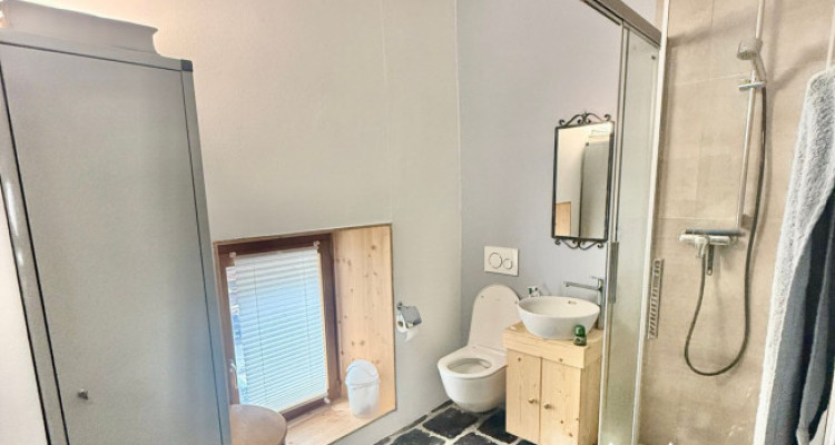 CHARMANT STUDIO DE 52 M2, MASE ! ( MONT-NOBLE ) image 7