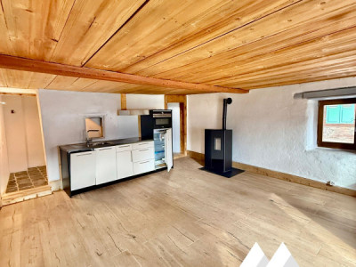 MAGNIFIQUE DUPLEX RÉNOVÉ DE 3.5 PCS + LOCAL/ATELIER -  MASE (MONT-NOBLE) image 2