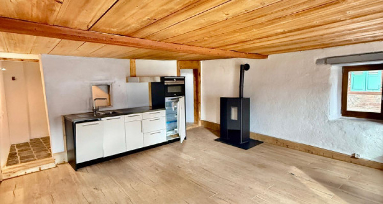 MAGNIFIQUE DUPLEX RÉNOVÉ DE 3.5 PCS + LOCAL/ATELIER -  MASE (MONT-NOBLE) image 2