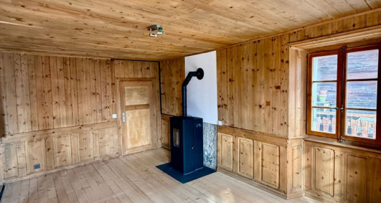 MAGNIFIQUE DUPLEX RÉNOVÉ DE 3.5 PCS + LOCAL/ATELIER -  MASE (MONT-NOBLE) image 6