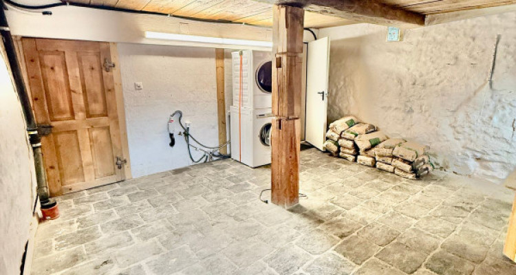 MAGNIFIQUE DUPLEX RÉNOVÉ DE 3.5 PCS + LOCAL/ATELIER -  MASE (MONT-NOBLE) image 9