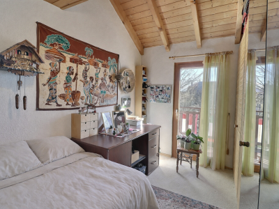 Jolie maison en viager occupé sans rente au calme avec un grand jardin image 8