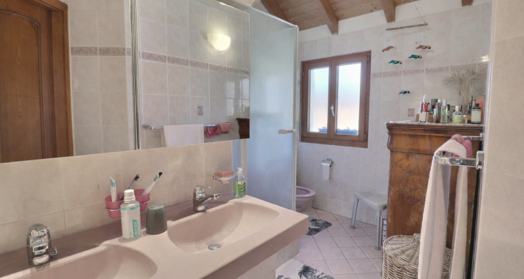 Jolie maison en viager occupé sans rente au calme avec un grand jardin image 12