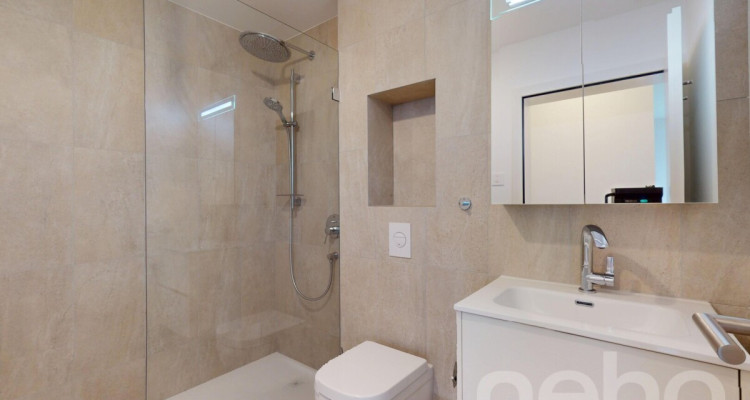 Magnifique 4,5 pièces avec grand jardin -  Saillon image 9