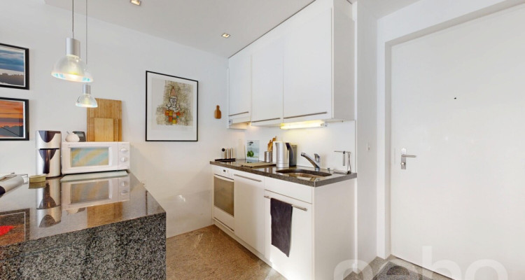 Loft d?exception face au lac, avec piscine et sauna image 9