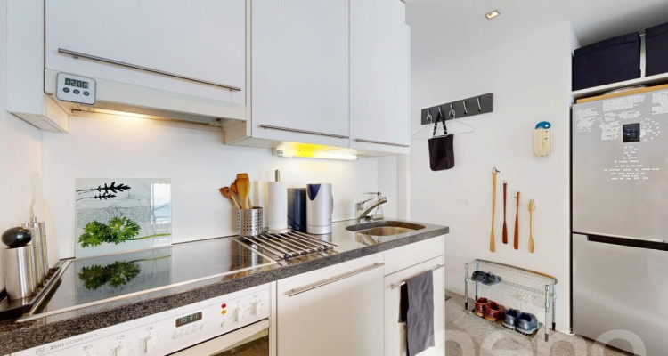 Loft d?exception face au lac, avec piscine et sauna image 10