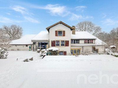 Grande Maison familiale avec 3.5p indépendant loué image 1