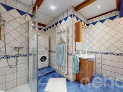 Grande Maison familiale avec 3.5p indépendant loué image 11