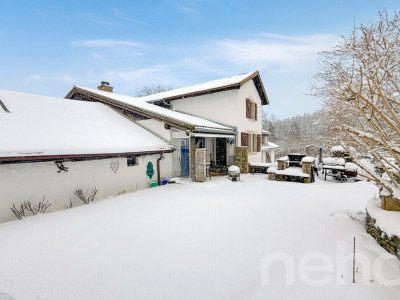Grande Maison familiale avec 3.5p indépendant loué image 12