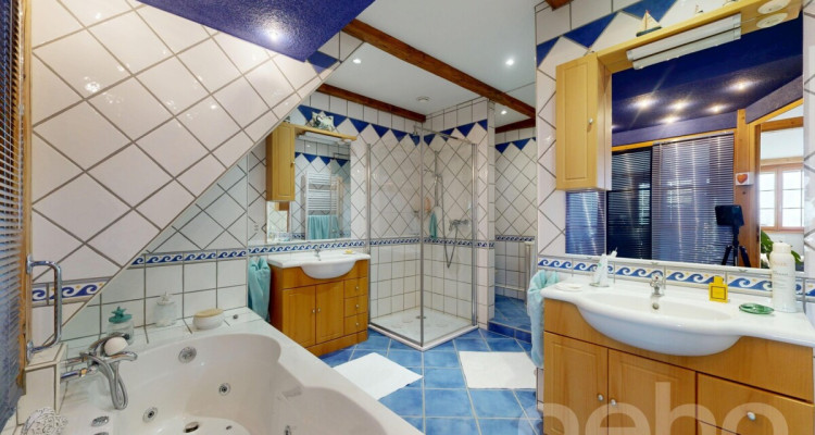 Grande Maison familiale avec 3.5p indépendant loué image 8