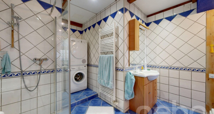 Grande Maison familiale avec 3.5p indépendant loué image 11