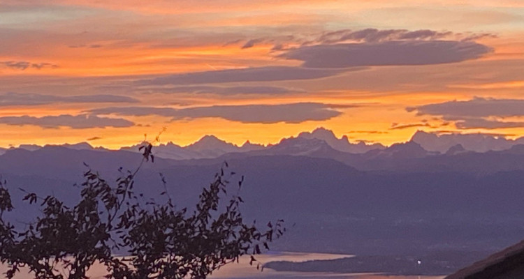 En exclusivité : La belle Villa séquioa et sa magnifique vue Lac à Arzier centre image 1