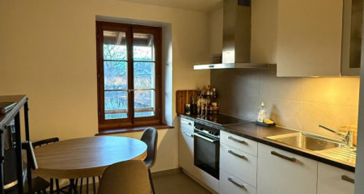 Très joli 4 pièces entièrement rénové en campagne Genevoise image 8