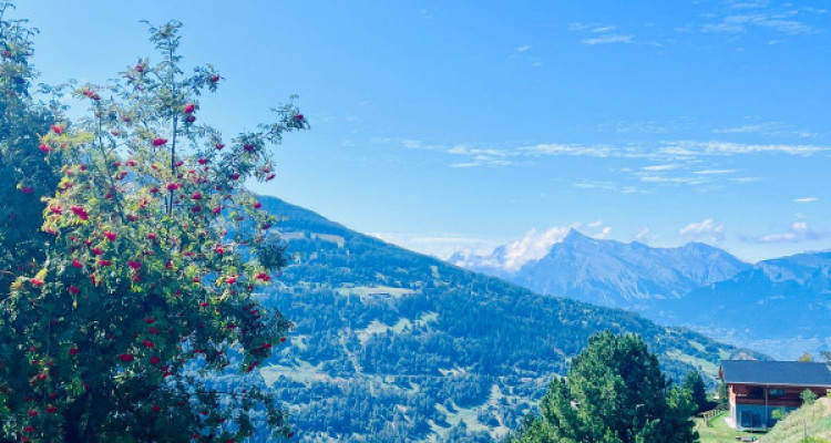 TERRAIN CONSTRUCTIBLE DE 533 M2 ! MASE (MONT-NOBLE) image 6