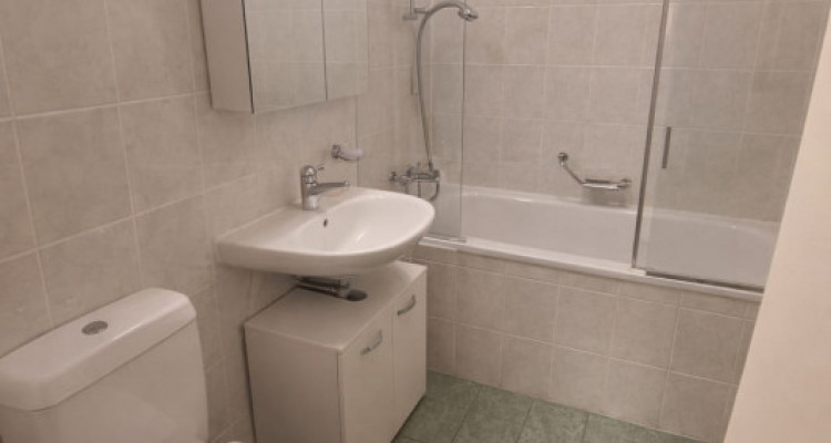 Spacieux appartement de 6 pièces Champel/Florissant image 6