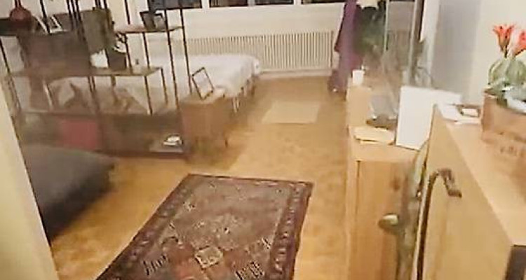 Studio situé à Plainpalais   image 1