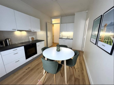 Joli appartement meublé de 2 pièces , Quartier Jonction image 2