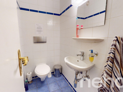 Entouré de verdure image 11