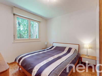 Entouré de verdure image 7