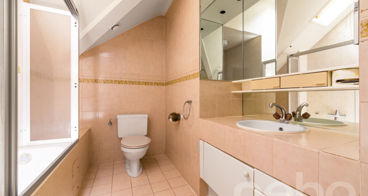 Havre de tranquilité image 11