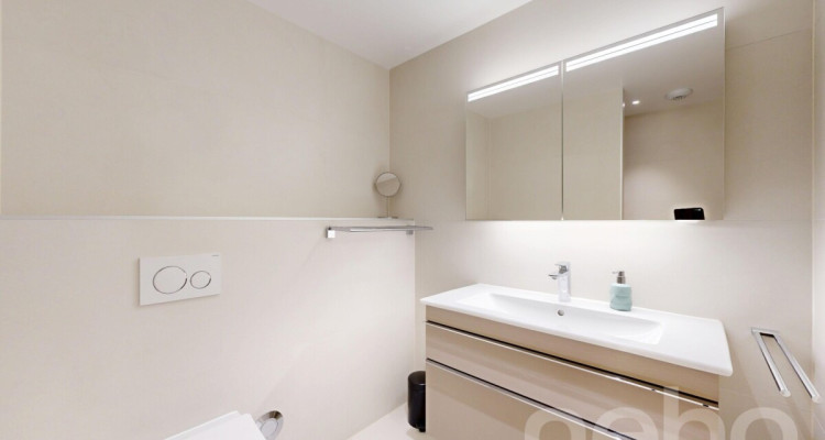 Remarquable appartement de standing avec terrasses et jardin ? Pully image 9