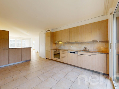 Appartement traversant avec grande terrasse image 7