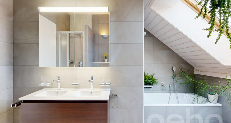 4.5 lumineux en dernier étage à Boulens image 8