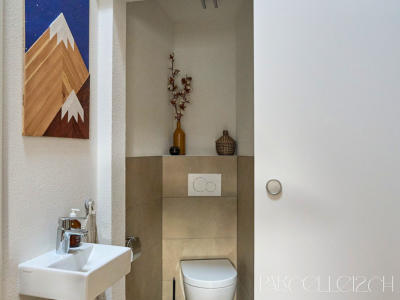 duplex 4 pièces moderne - au bord du lac image 4