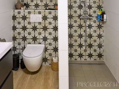 duplex 4 pièces moderne - au bord du lac image 6