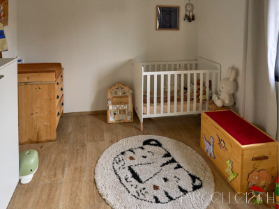 duplex 4 pièces moderne - au bord du lac image 8