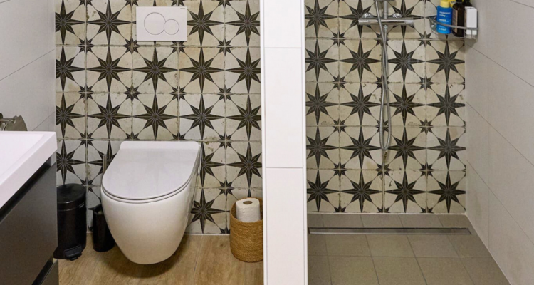 duplex 4 pièces moderne - au bord du lac image 6