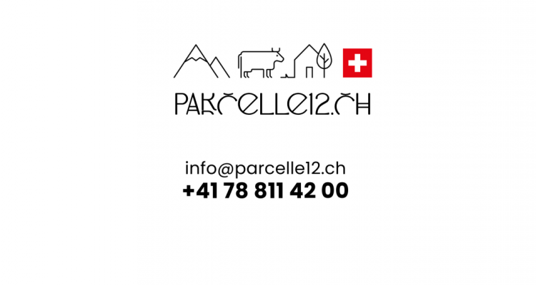 duplex 4 pièces moderne - au bord du lac image 11