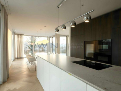 Ein Meisterwerk über dem Hallwilersee - Neubau-Villa image 3