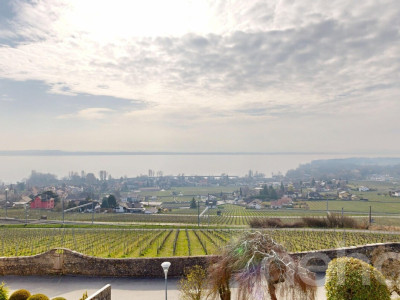 Magnifique Villa avec vue sur le lac image 2