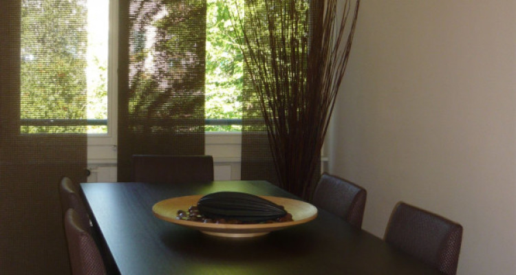 COLLONGE-BELLERIVE — APPARTEMENT DE CARACTÈRE 4 PIÈCES — CHEMINÉE — PARKING image 4