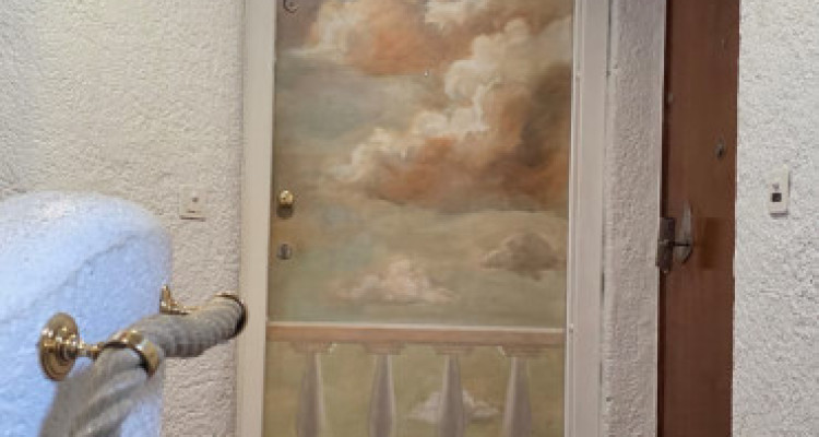 COLLONGE-BELLERIVE — APPARTEMENT DE CARACTÈRE 4 PIÈCES — CHEMINÉE — PARKING image 13