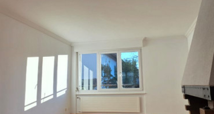 COLLONGE-BELLERIVE — APPARTEMENT DE CARACTÈRE 4 PIÈCES — CHEMINÉE — PARKING image 7