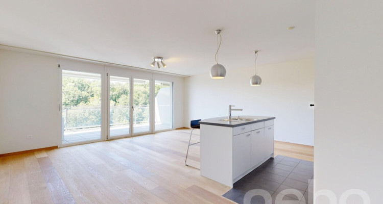 Appartement moderne et lumineux a Belmont-sur-Lausanne image 1