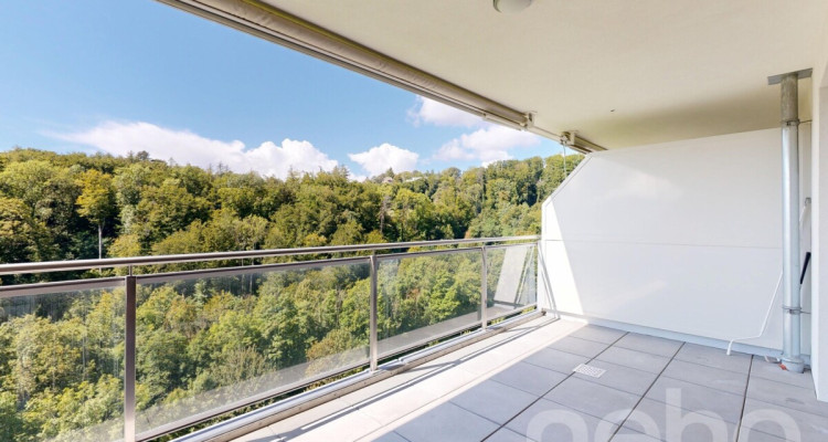 Appartement moderne et lumineux a Belmont-sur-Lausanne image 4