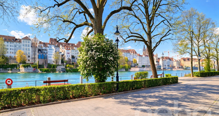 Exklusives Wohnen am Rhein mit Blick auf das Basler Münster image 1