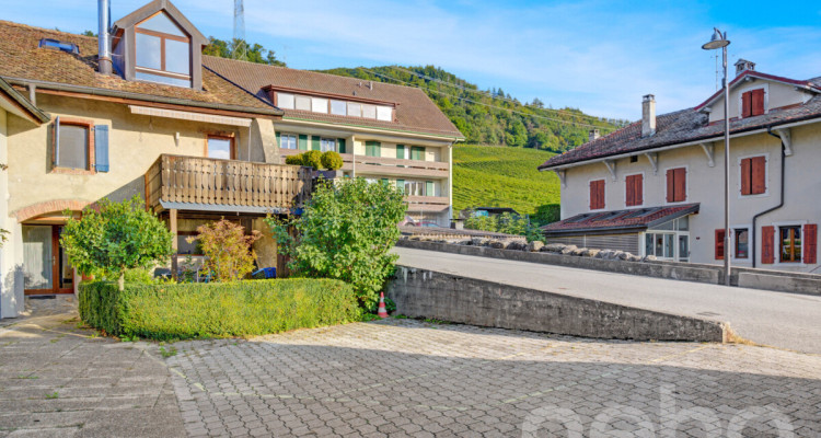 Superbe maison villageoise entièrement rénovée avec jardin indépendant image 2