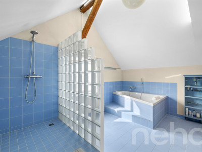 Exklusive 8 Zimmer-Villa mit zusätzlichem Einfamilienhaus auf 1?624m² image 11