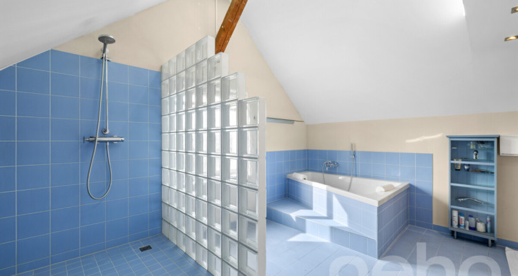 Exklusive 8 Zimmer-Villa mit zusätzlichem Einfamilienhaus auf 1?624m² image 11