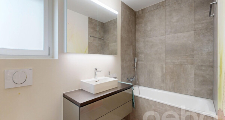 Helle 4.5-Zimmer-Wohnung mit grosser Südterrasse image 9